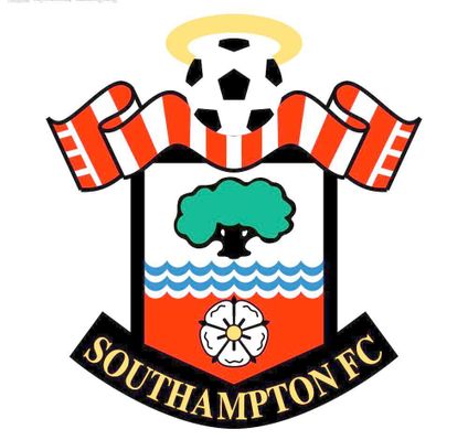 庸置疑地成 庸置疑地成